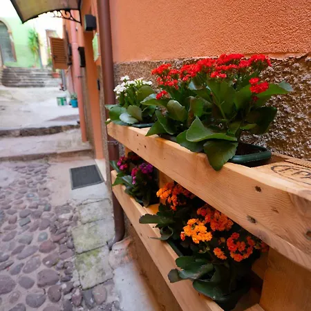 Guest house Casa Mirto 4*