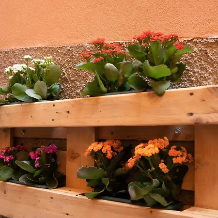 Pensjonat Casa Mirto 4*