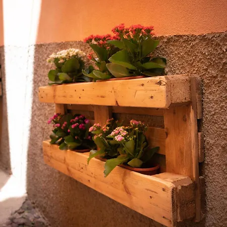 Casa Mirto Gasthof 4*