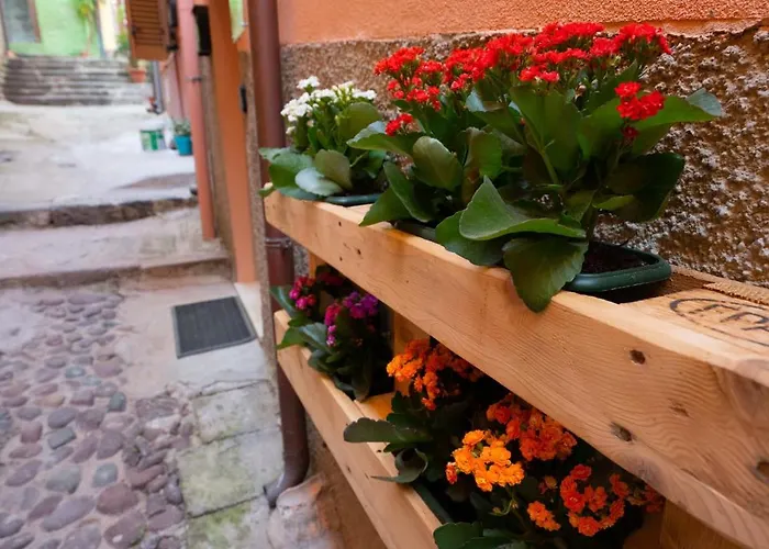 招待所 Casa Mirto 4*