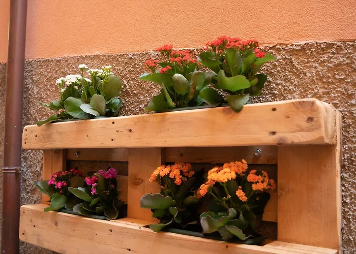 招待所 Casa Mirto 4*