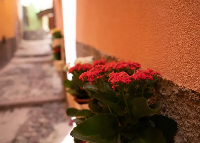 Casa Mirto 4* 博萨