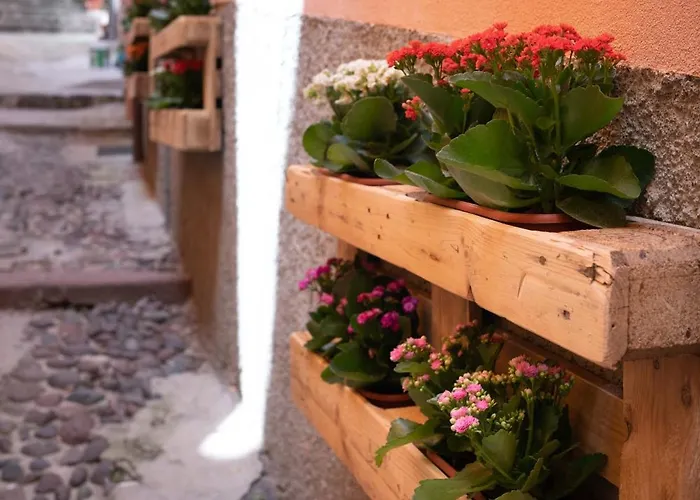 招待所 Casa Mirto 博萨